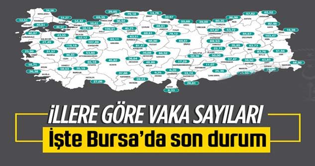 Bursa