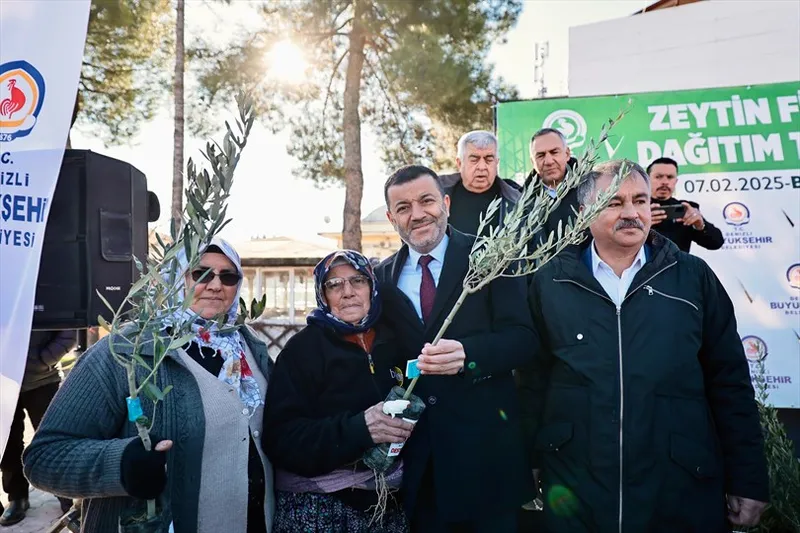 Denizli Büyükşehir’den üreticiye 100 bin zeytin fidanı desteği