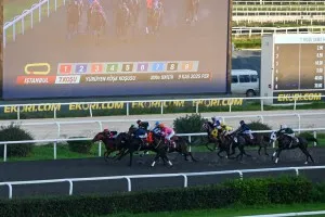 9. Yürüyen Köşk Koşusu