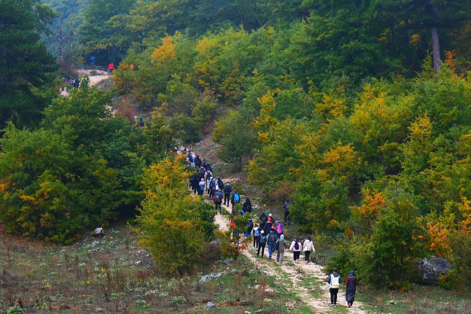Sakarya’da doğayla iç içe sonbahar
