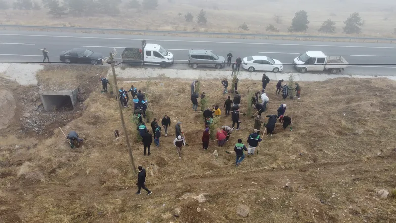 Kayseri Büyükşehir Belediyesi, Yahyalı