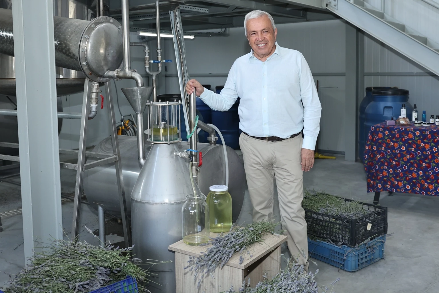 Bursa Nilüfer’de lavanta hasadı başladı