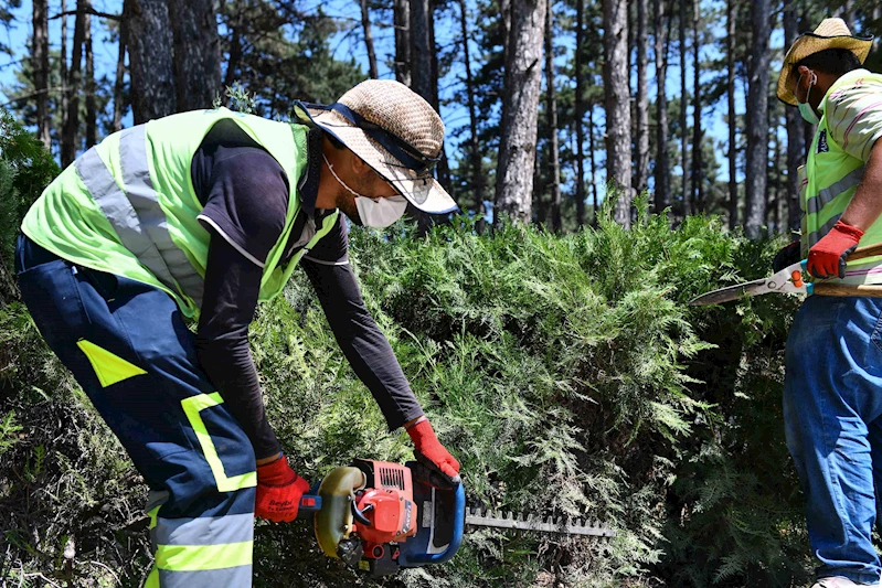 ANKARA BÜYÜKŞEHİR BELEDİYESİ’NDEN SICAK HAVA DÜZENLEMESİ