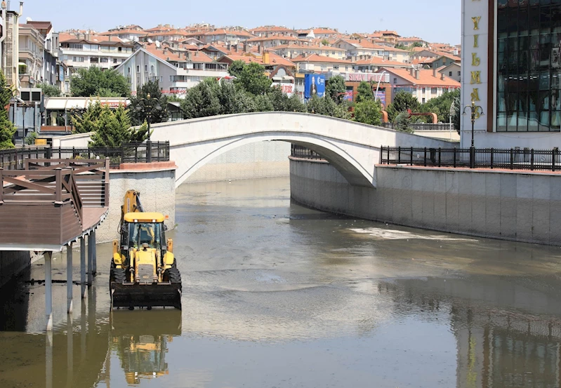 Gümüşdere Ihlamur Vadisi temizlendi