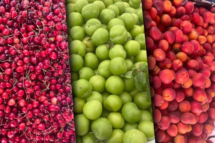Sert ve yumuşak çekirdekli meyveler zirvede