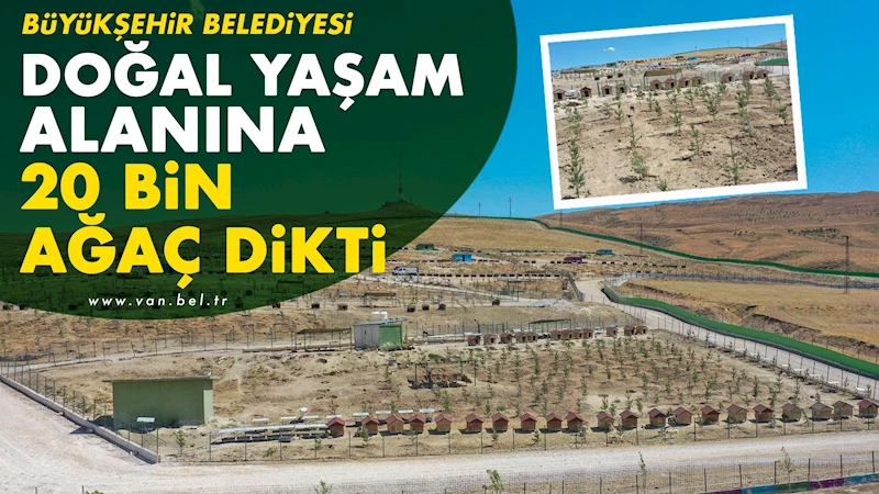 BÜYÜKŞEHİR BELEDİYESİ DOĞAL YAŞAM ALANINA 20 BİN AĞAÇ DİKTİ