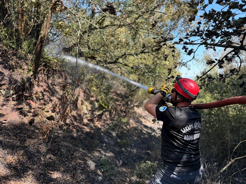 4 saatte 3 orman yangını kontrol altına alındı