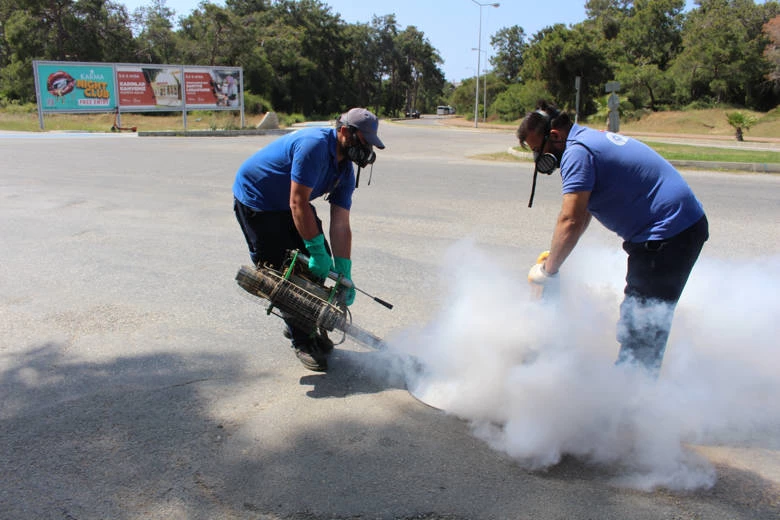 Antalya’nın tüm ilçelerinde haşereyle mücadele sürüyor