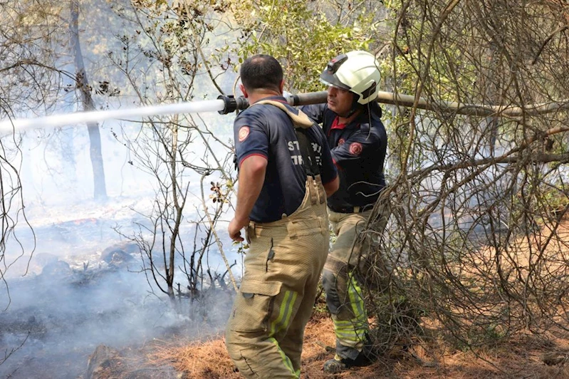 İBB’DEN BURSA’DAKİ ORMAN YANGININA ACİL DESTEK