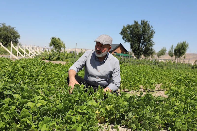 BAŞKAN ÇOLAKBAYRAKDAR: “ATA TOHUMLARIMIZI YAŞATIYOR, GELECEĞE TAŞIYORUZ”
