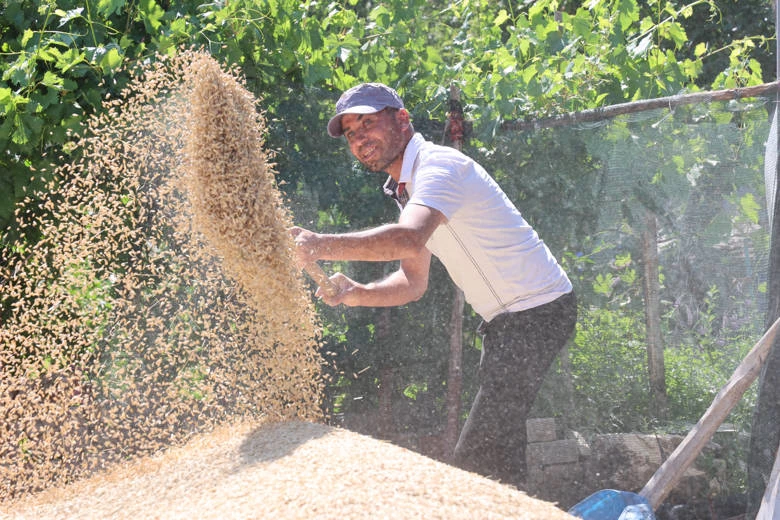 Büyükşehir Belediyesi’nin hibe ettiği tohumlar boy verdi