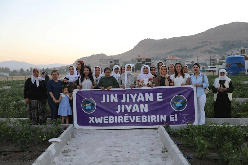 İpekyolu’nda Dayanışma Büyüyor: Şafak Kadın Kent Bostanı Hasata Başladı
