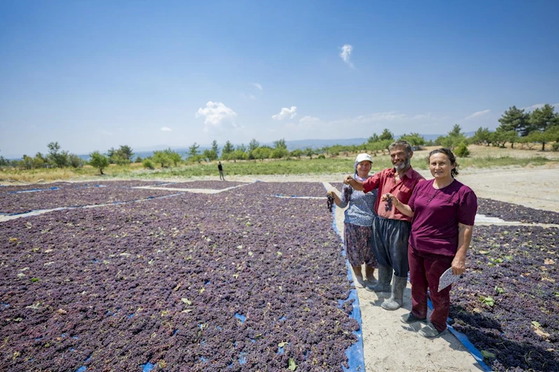 Büyükşehir’in Coğrafi İşaret Tescili İle Üreticinin Ürünü Değerleniyor