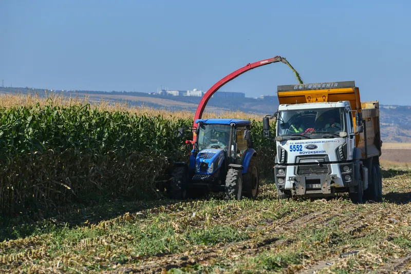 BAKAP’TA SİLAJLIK MISIR HASADI BAŞLADI