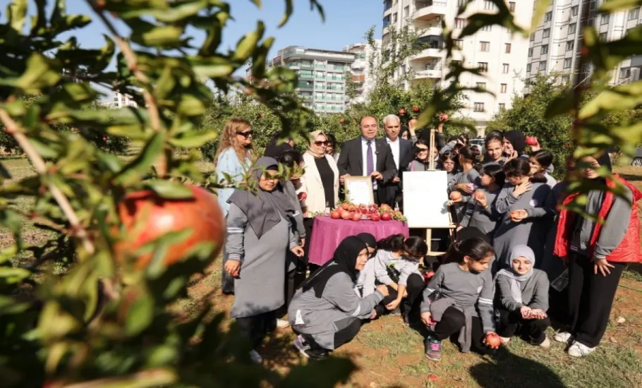 Karaköprü'de 2. Nar Festivali Öncesi Hasat Heyecanı