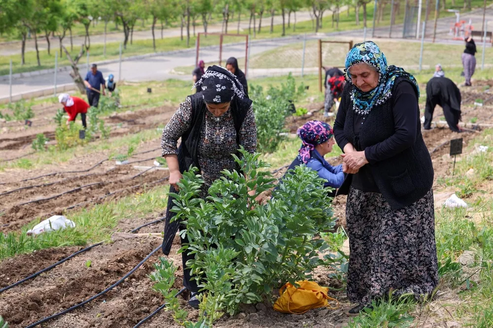 İzmir Mahalle Bostanları büyüyor