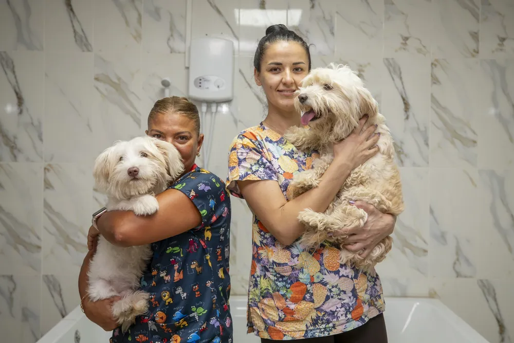 Mersin'de patili dostlar için anlamlı iş birliği