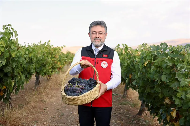 TMO'dan Hububat Alımında Cumhuriyet Tarihinin Rekoru